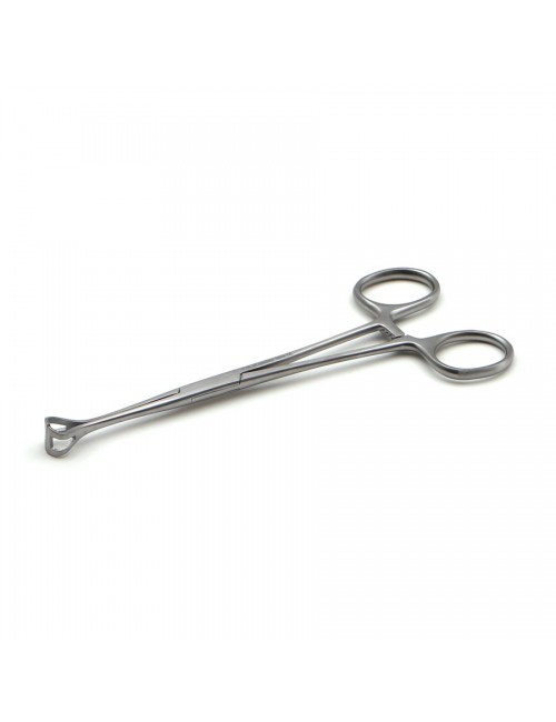 PINCE BABCOCK 16 CM
