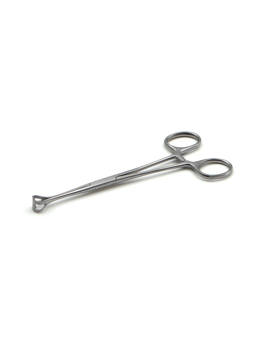PINCE BABCOCK 16 CM