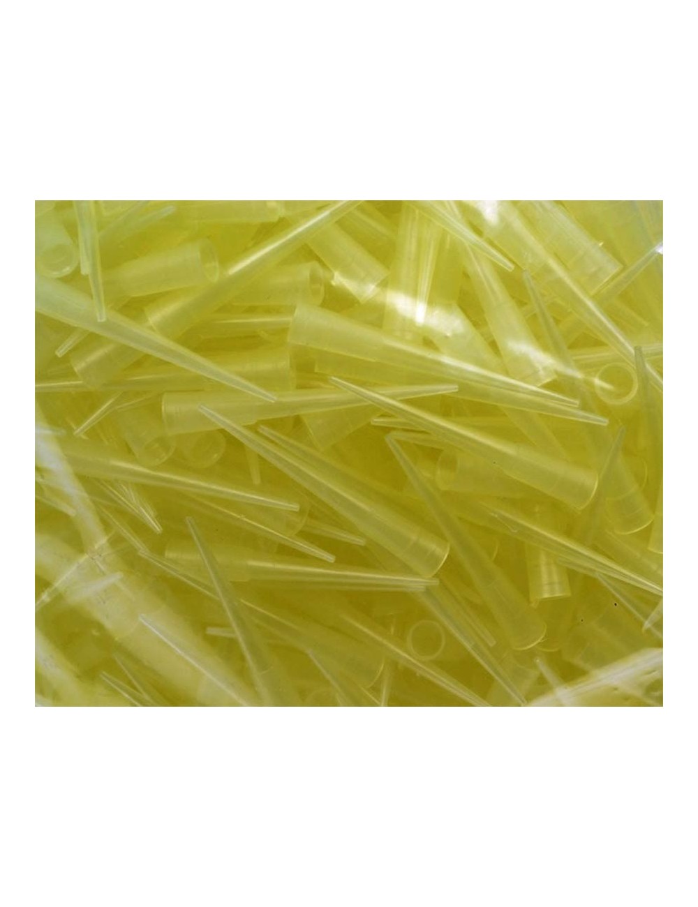 CONE JAUNE "K" POUR MICROPIPETTE 5-200 µL (X 1000)