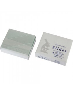 LAME PORTE-OBJET BORDS RODES  76X26MM (X100)