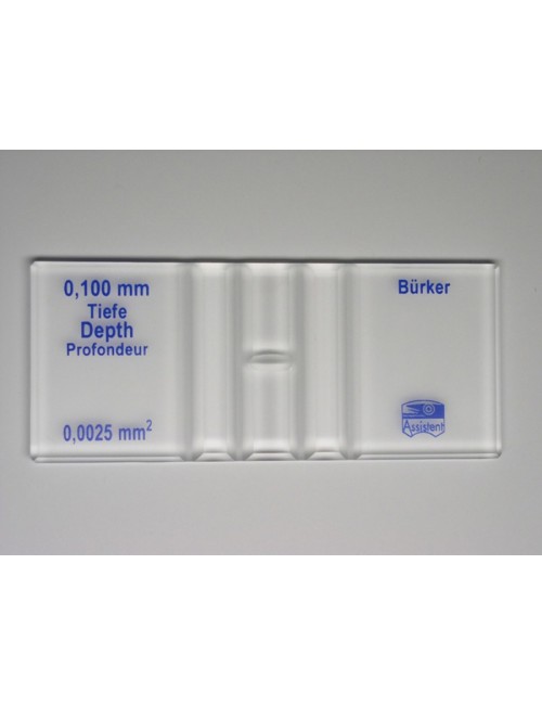 CELLULE A NUMERATION DE BURKER DOUBLE QUADRILLAGE