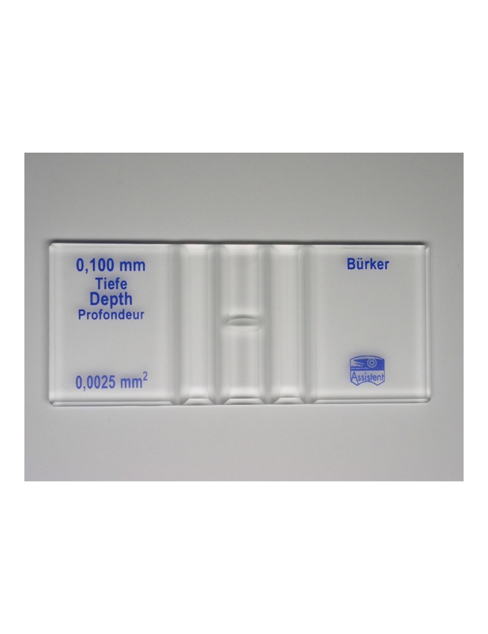 CELLULE A NUMERATION DE BURKER DOUBLE QUADRILLAGE