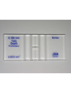 CELLULE A NUMERATION DE BURKER DOUBLE QUADRILLAGE