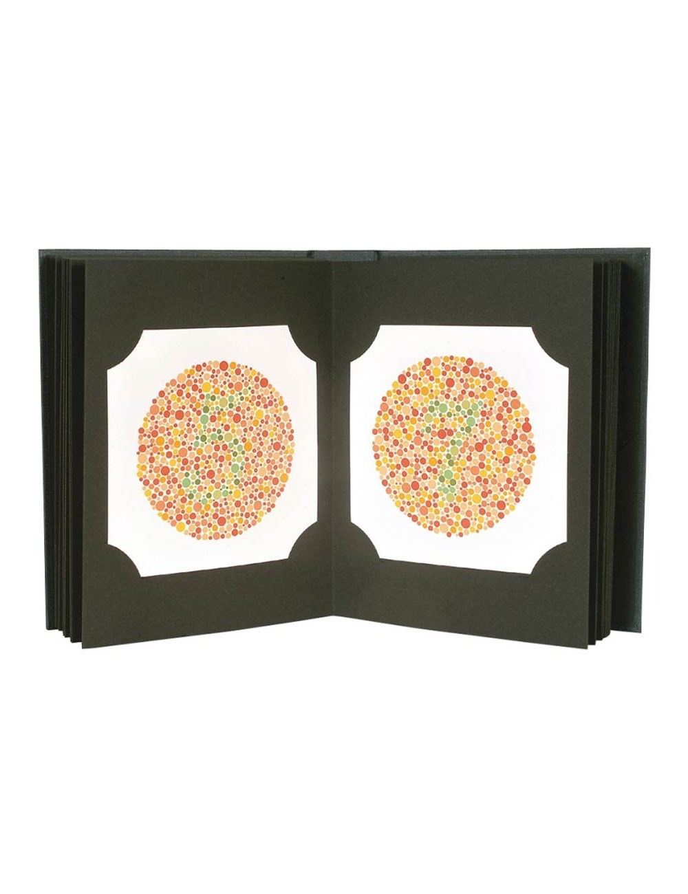 ALBUM TEST ISHIHARA ADULTE 38 PLANCHES