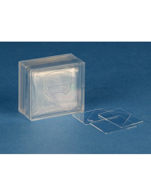 LAMELLE PLANEE OPTIQUEMENT 20X26MM (X 10)