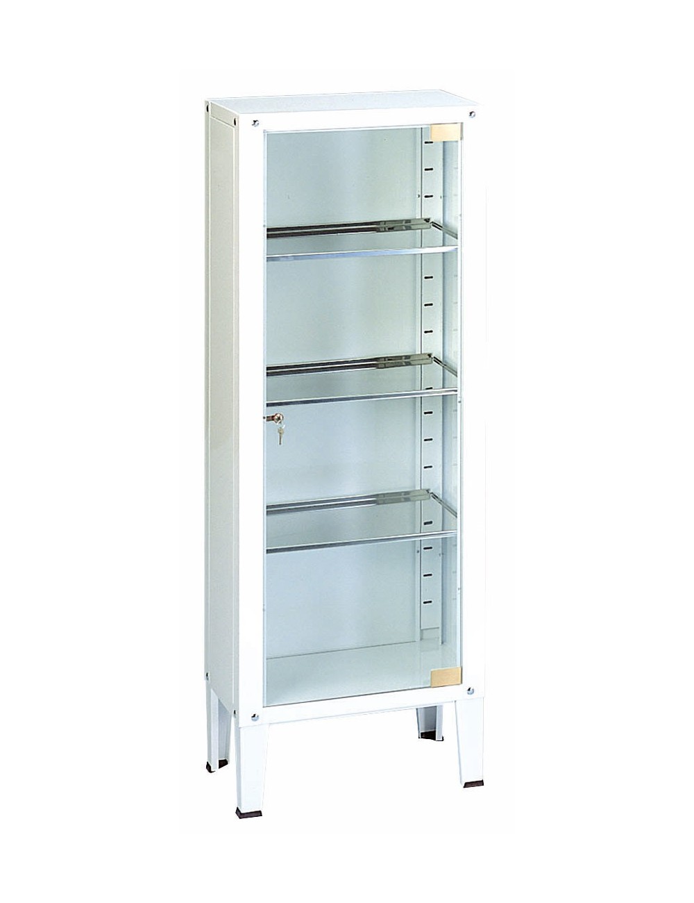 VITRINE A INSTRUMENTS 1 PORTE (53X36X144)