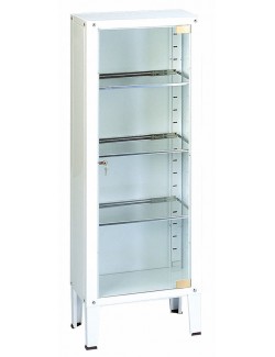 VITRINE A INSTRUMENTS 1 PORTE (53X36X144)