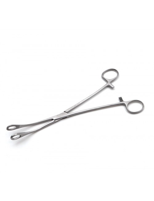 PINCE DE FOERSTER STRIEES CBE 24 CM