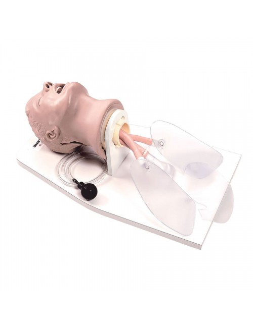 TETE D' INTUBATION ADULTE A/SUPPORT "AIRWAY LARRY" DE LIFE/FORM