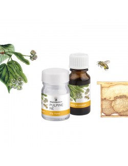 HOFFMANN PULPINE NE SANS EUGENOL 10 GRS + 10 ML (ALTERNATIVE AU MTA)