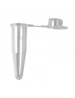 TUBE PCR 0,2ML AVEC CAPE PLATE (X1000)