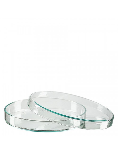 CRAMPON A DIGUE, N°8