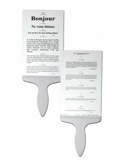 ECHELLE A MAIN DE PARINAUD POUR LETTRES