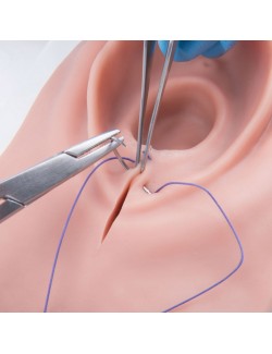 SIMULATEUR D’INCISION DU PÉRINÉE ET DE SUTURES