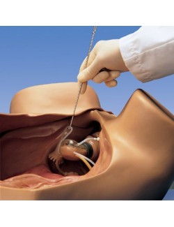 SIMULATEUR GYNÉCOLOGIQUE ZOE®