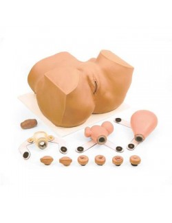 SIMULATEUR GYNECOLOGIQUE EVA