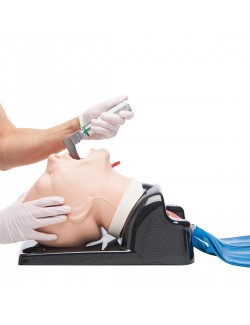 SIMULATEUR D'INTUBATION BRONCHI X - TETE D'INTUBATION ADULTE