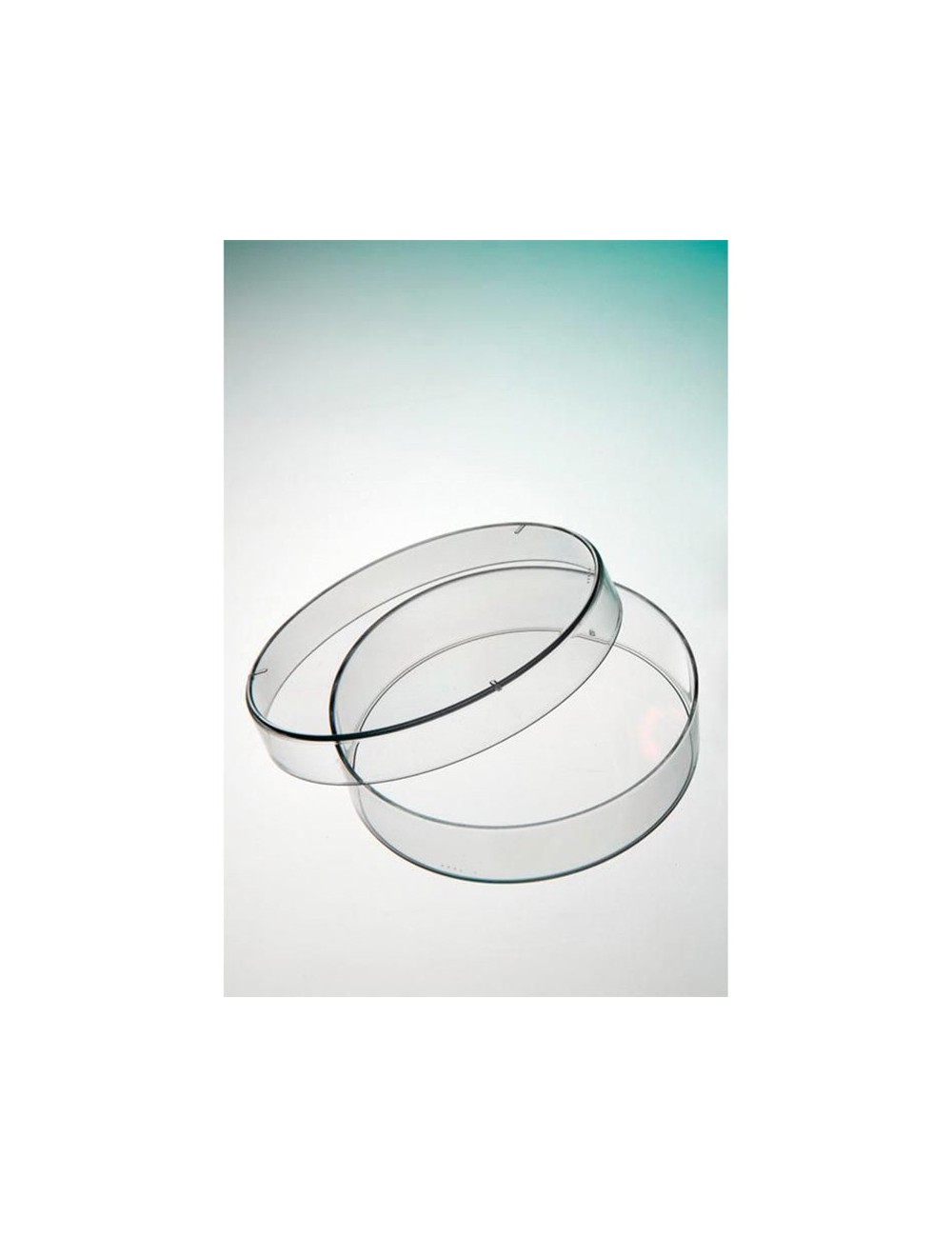 BOITE DE PETRI PS DIAM. 55MM + ERGOTS (X 1620)