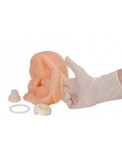 MODEL CONTRACEPTIF FEMININ