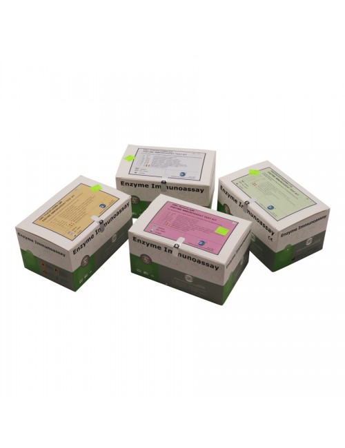 SYPHILIS IGG/IGM 96 TESTS