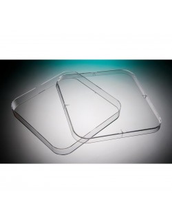 BOITE DE PETRI PS CARREE 120X120MM STERILE + ERGOTS (X 252)